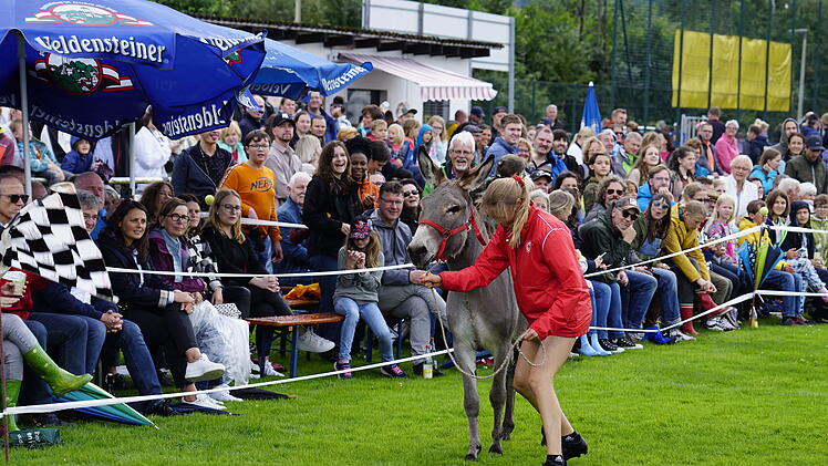 Hersbrucker Eselrennen