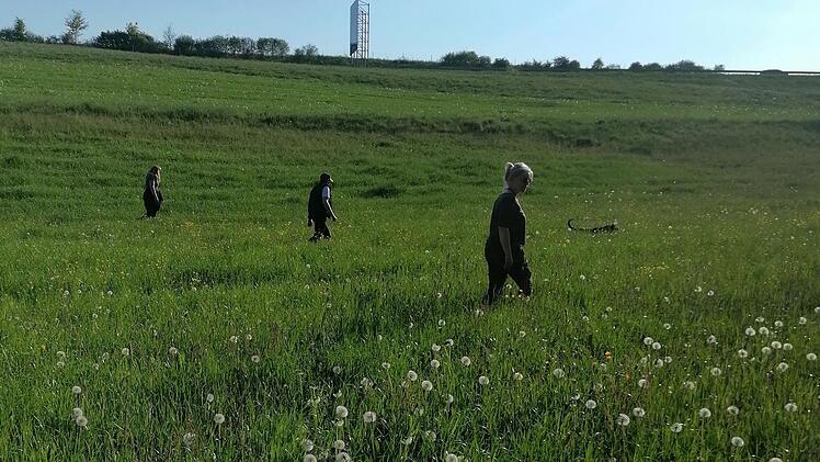 Lichtenfels: Tierschutz-Aktion soll Rehkitze retten