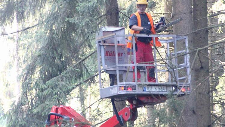 Äste mussten von Bäumen an den "7 Fuhren" entfernt werden.  Foto: Friedwald Schedel
