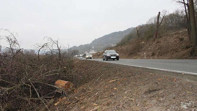 Entlang der B 289 wurden zwischen Untersteinach und Kauerndorf viele Bäume gefällt.