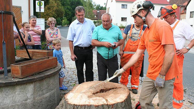 2055: Anwohner, Bürgermeister Hans Beck und Werner Dallner (mit Fotoapparat) (von links) begutachten zusammen mit den Baumfällexperten das Innenleben der Linde