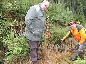 Der alte Stamm liegt einfach nur im Wald herum, zeigt Roland Knöpfle - und Gutachter Horst Gleißner lächelt zufrieden. Denn nur Wälder, in denen es Totholzbestand gibt, sind gesunde Wälder. Fotos: Sonja Adam