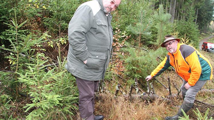 Der alte Stamm liegt einfach nur im Wald herum, zeigt Roland Knöpfle - und Gutachter Horst Gleißner lächelt zufrieden. Denn nur Wälder, in denen es Totholzbestand gibt, sind gesunde Wälder. Fotos: Sonja Adam