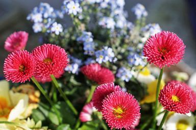 Die schönsten Fotos im Frühling aus Nürnberg und Umgebung