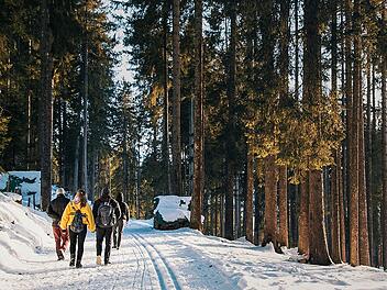 Winterwanderungen in Franken: Diese Ausflüge eignen sich für die ganze Familie