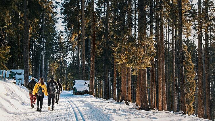 Winterwanderungen in Franken: Diese Ausflüge eignen sich für die ganze Familie