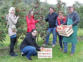 Bi der Apfelernte (v. l.): Johanna Düngfelder, Carola Kubik, Sepp Kraus, Andrea und Roland Schmitt; vorne kniet Kerstin Schilling.  Foto: cs