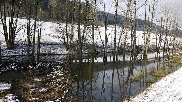 Der kleine durch den Biberbau angestaute See.Berthold Köhler