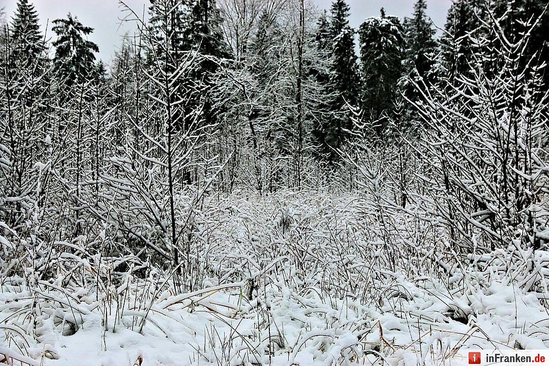Schnee im Fichtelgebirge