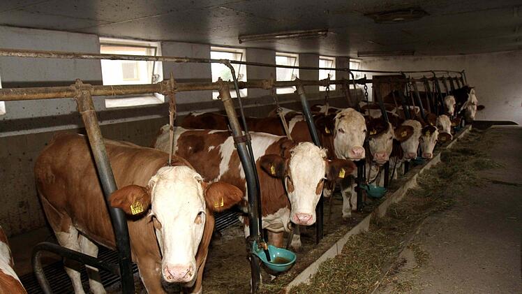 Foto: Richard Sänger