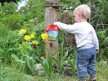 In Niedersachsen hat ein Hund wohl ein zweij&auml;hriges Kind schwer verletzt. Symbolbild: vikvarga/pixabay.com