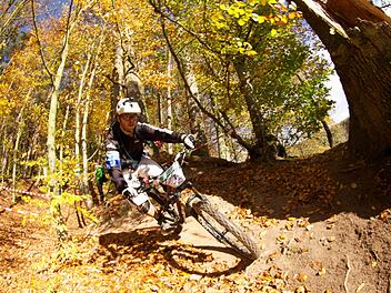 Mit dem Mountainbike durch den Wald zu brettern, ist beim Fahrer auf diesem Bild in Ordnung. Er benutzt eigens dafür zugelassene Wege. Einfach über Stock und Stein durch die Natur zu fahren, sorgt allerdings für Probleme. Symbolbild: Heiko Häseler/baboors