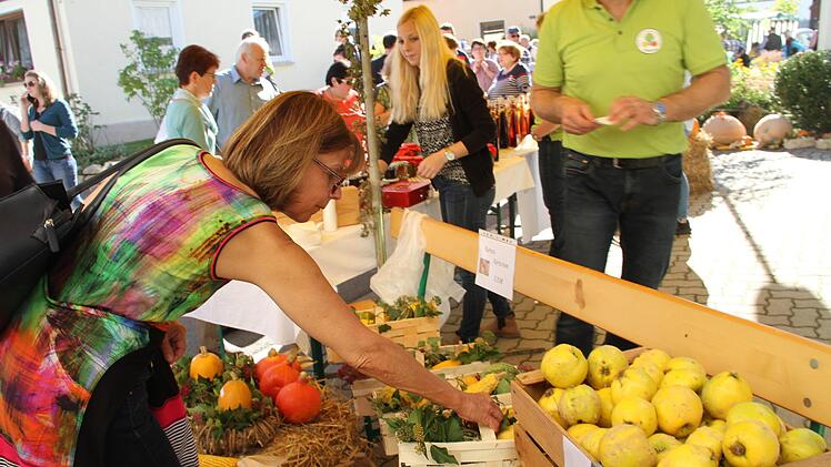 Die Besucher hatten die Qual der Wahl.