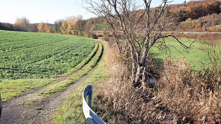 Das wäre zum Beispiel ein Flurweg bei Gemünd (in Richtung Jesserndorf gesehen), den man nach den Vorstellungen von Bürgermeister Jürgen Hennemann als Radweg nutzen könnte. In diesem Bereich ist indes der Biber aktiv, ein weiteres Problem neben der Finanzierung.  Foto: Helmut Will