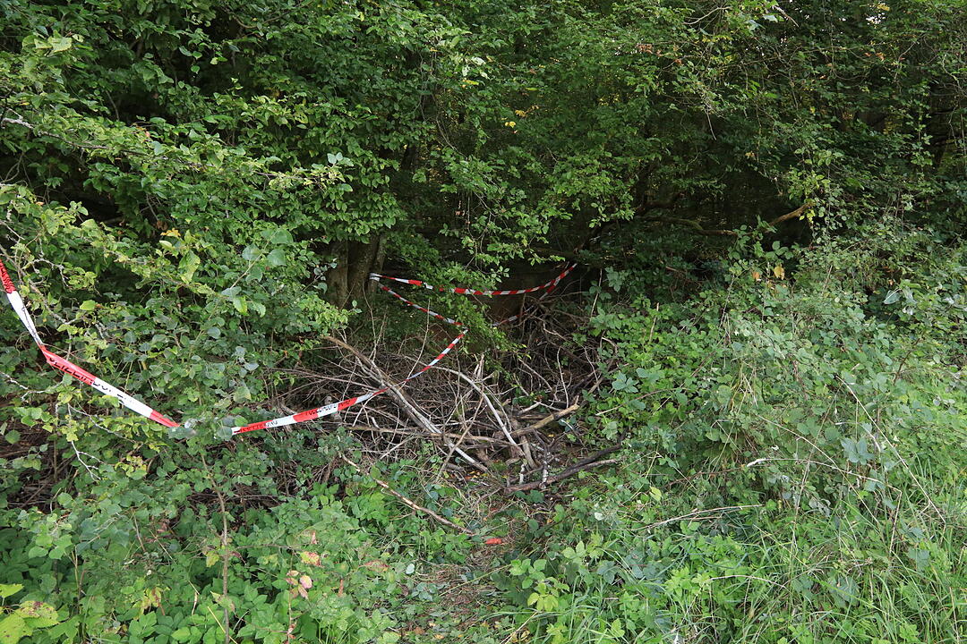 Grausiger Fund in Gräfendorf in Unterfranken