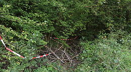 Vorschaubild