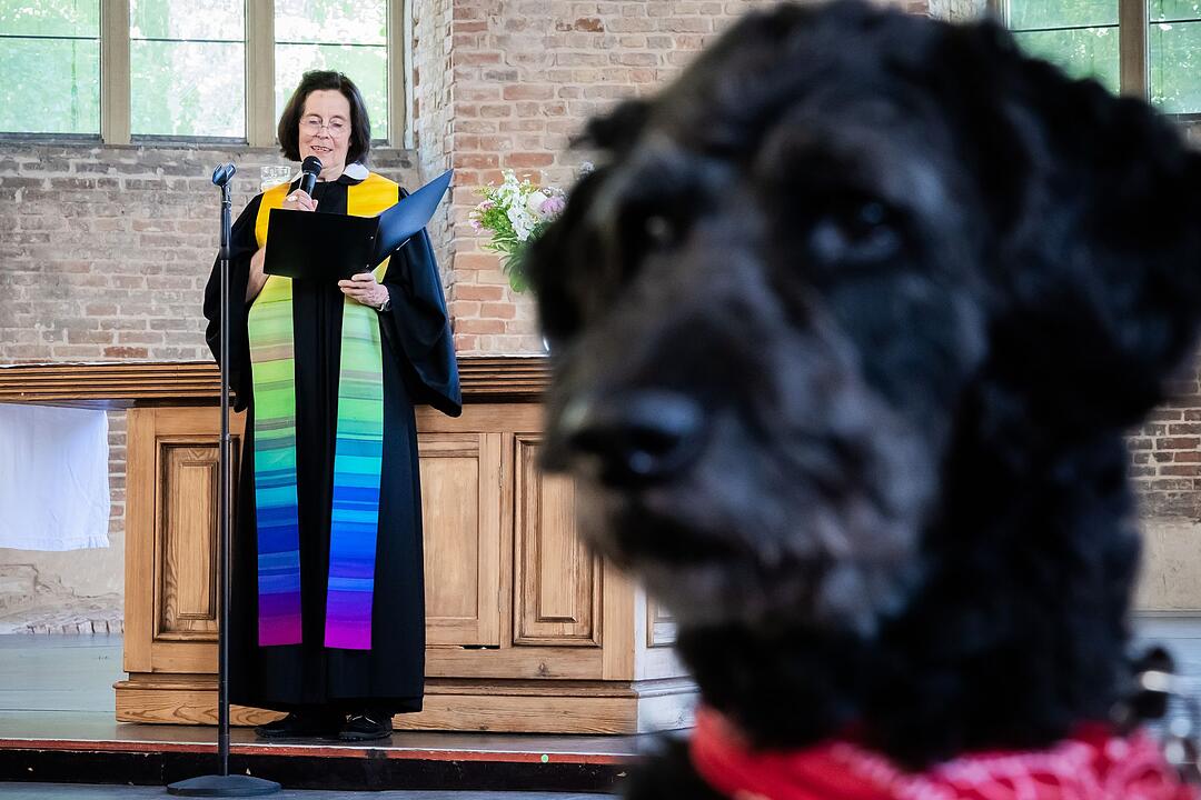 Segnungsgottesdienst f&uuml;r Mensch und Tier