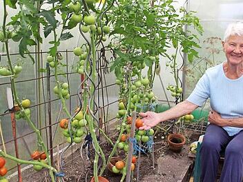 Ingrid Roß hat heuer Tomaten ohne Ende geerntet.  Foto: Andreas Dorsch