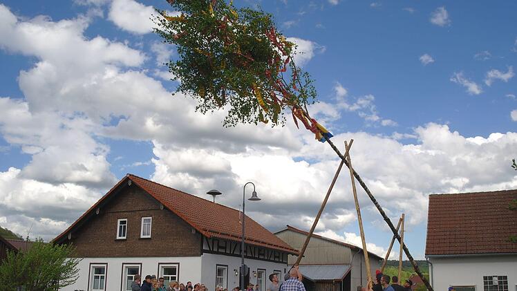 Von Süd-Volkerser Männerkraft aufgestellt, von Nord-Volkerser Hand geschmückt: der Maibaum in Volkers. Stephanie Elm