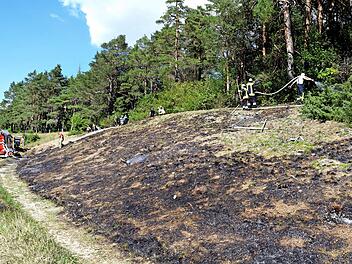 Ein Blick auf den Hang zwischen Eichig und Köttel, der in Brand geraten war, und von dem aus die Flammen auf den Wald überzugreifen drohten.  Fotos: Dieter Radziej
