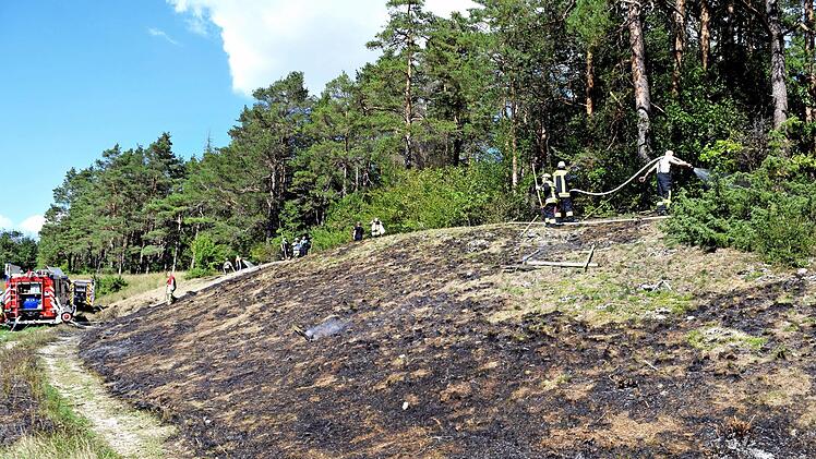 Ein Blick auf den Hang zwischen Eichig und Köttel, der in Brand geraten war, und von dem aus die Flammen auf den Wald überzugreifen drohten.  Fotos: Dieter Radziej