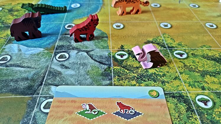 Spiele-Test "Wilde Serengeti": Gehobenes Familienspiel für Wildtier-Fans