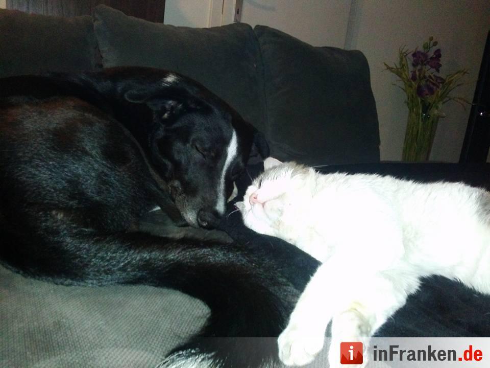 Foto: Melanie Fiedler