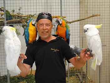 Andreas Hermanns und seine Papageien haben keine Ber&uuml;hrungs&auml;ngste. Am Sonntag, 28. Mai, sind sie um 16 Uhr in Hammelburg zu sehen. Foto: Wolfgang D&uuml;nnebier