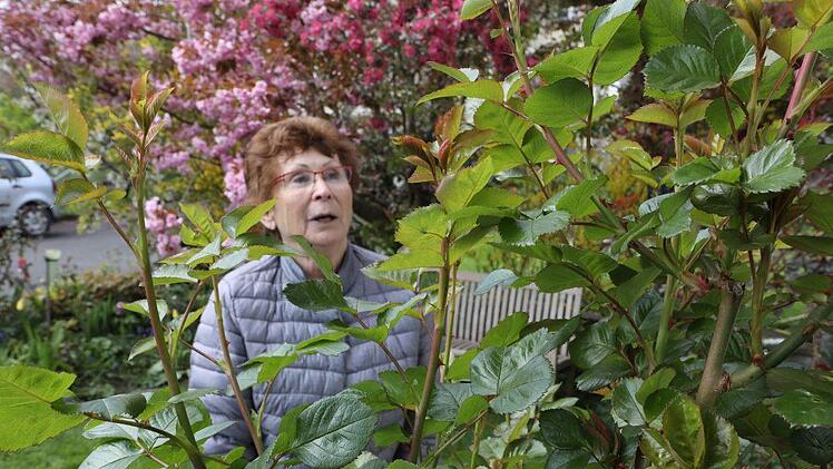 Foto: Barbara Herbst