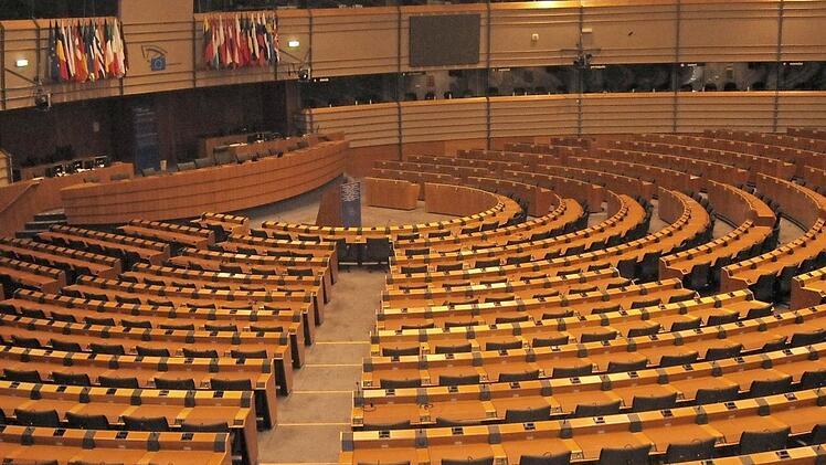 Die europäische Idee soll auch in Herzogenaurach Einzug erhalten. Ein Parlament wird entstehen, allerdings nur für Jugendliche.  Foto: Michael Busch