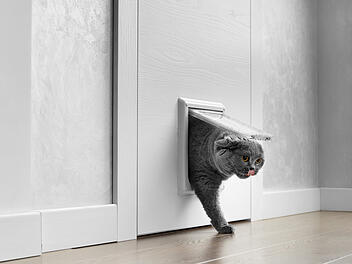 Katze, Katzenklappe, Mietrecht, Miete, Genehmigung