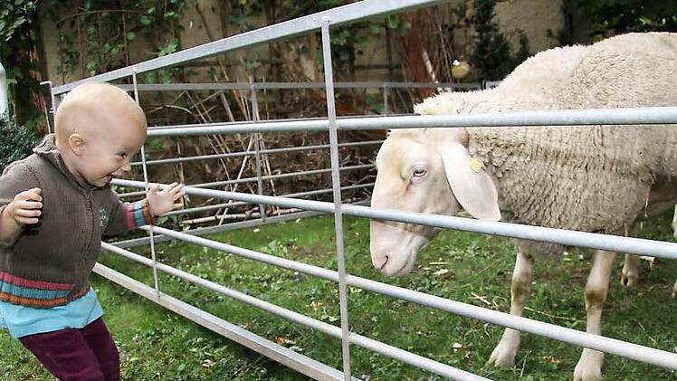 Der kleinen Steffi hat es besonders das Schaf angetan.