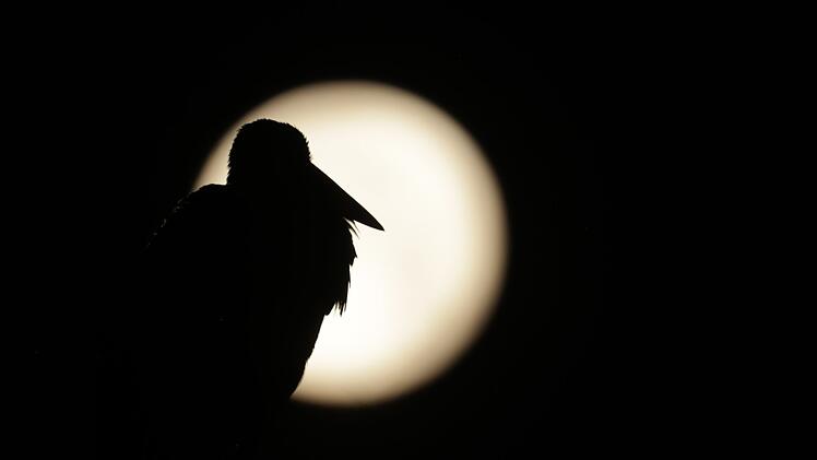 Vollmond