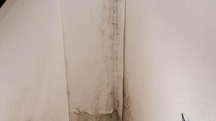 Feuchtigkeit in der Wohnung hat zu massivem Schimmelbefall geführt. Mit allergrößter Wahrscheinlichkeit wurde Wäsche in der Wohnung gewaschen und getrocknet, aber nicht gelüftet. Jetzt hat der Vermieter einer vierköpfigen Familie aus Syrien gekündigt. Foto: Christoph Winter