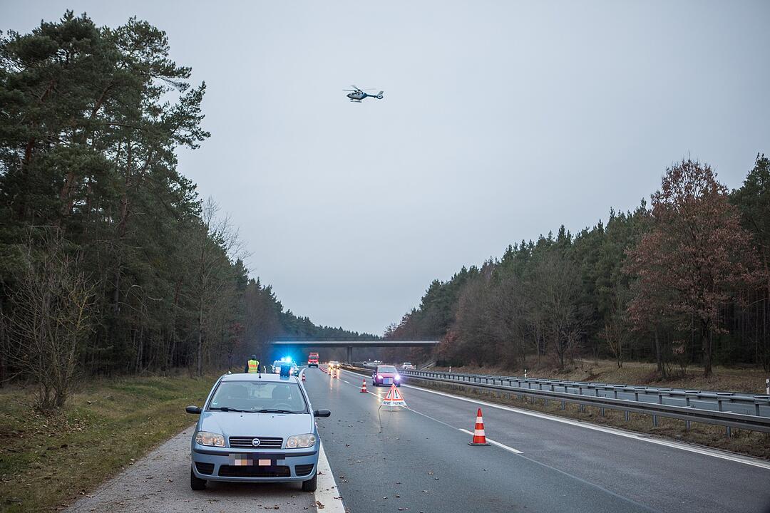 25-Jähriger rast mit seinem Auto in ein Waldstück