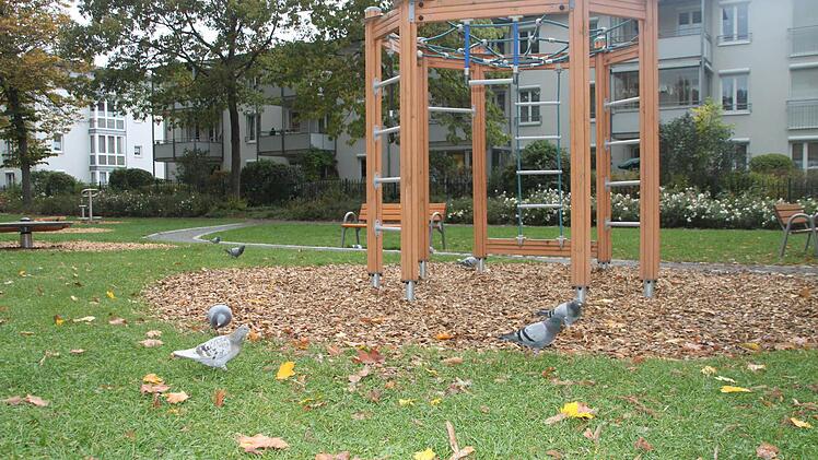 Die Tauben im Grünzug nerven die Bewohner des Mainparks. Die Vögel bleiben nicht auf den Grünflächen, sondern kommen auch auf die Balkone und sogar in die Senioren-Appartements. Foto: Dagmar Besand