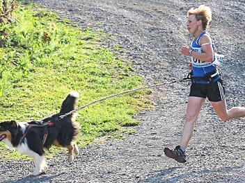 Auch Heidi Brix absolvierte den Vierkampf 2 (bestehend aus Unterordnung, Slalom-, Hürden- sowie Hindernislauf) mit Bravour. Zum wiederholten Mal gewann die Vorsitzende der Eltmanner Hundefreunde einen bayerischen Meistertitel.  Fotos: rn/pr
