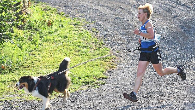 Auch Heidi Brix absolvierte den Vierkampf 2 (bestehend aus Unterordnung, Slalom-, Hürden- sowie Hindernislauf) mit Bravour. Zum wiederholten Mal gewann die Vorsitzende der Eltmanner Hundefreunde einen bayerischen Meistertitel.  Fotos: rn/pr