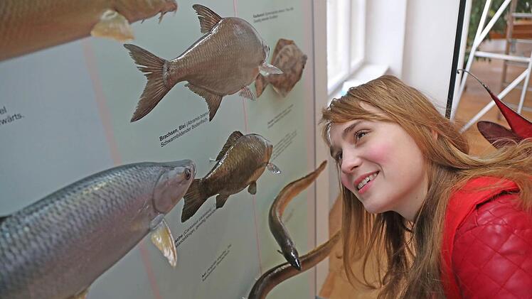 "Schlafen Fische?" - in Jens Raschkes Kinderstück spielt Anne Rieckhof die zehnjährige Jette. Die Aufführungen finden im Naturkundemuseuum statt. Foto: Hennig Rosenbusch