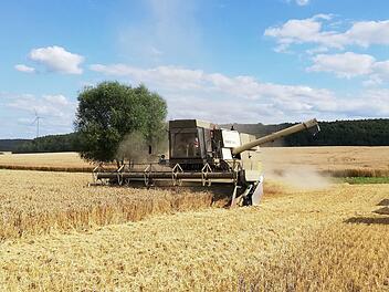 Die meisten Getreidefelder sind abgeerntet. In diesem Jahr war für die Qualität sehr entscheidend, welche Äcker von den wenigen, sehr lokalen Regenfällen profitieren konnten.Heike Beudert