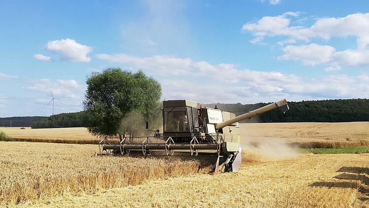 Die meisten Getreidefelder sind abgeerntet. In diesem Jahr war für die Qualität sehr entscheidend, welche Äcker von den wenigen, sehr lokalen Regenfällen profitieren konnten.Heike Beudert