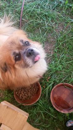Foto: Missy-W