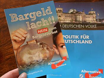 Solche Flyer hat die Alternative für Deutschland am Samstag in der Bamberger Fußgängerzone verteilt.