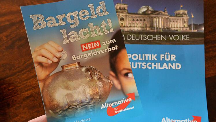 Solche Flyer hat die Alternative für Deutschland am Samstag in der Bamberger Fußgängerzone verteilt.