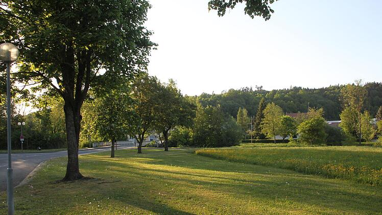 Auf dieser Wiese unweit der Einfahrt zum Schul- und Sportgelände (links im Bild) wird für 30 000 Euro ein Festplatz entstehen, der auch als Notparkplatz genutzt werden kann.  Foto: Stephan Stöckel