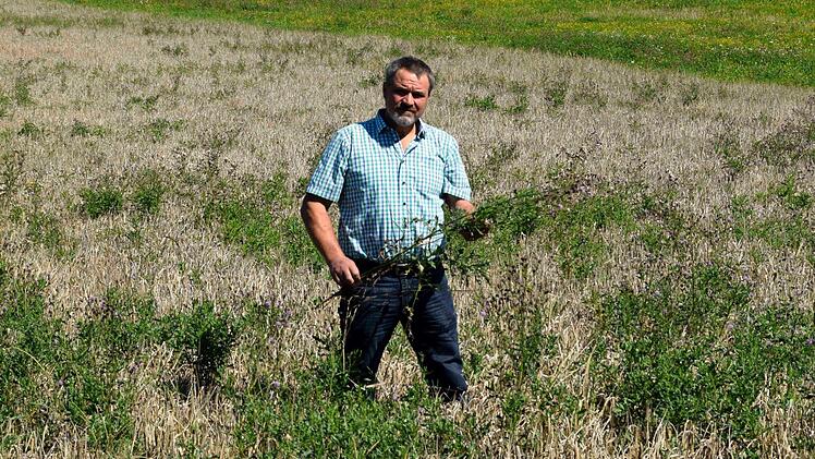 Kreisobmann Michael Bienlein weist auf einem Feld in der Gemarkung Kaspauer auf das Durchwachsen von Unkraut hin.