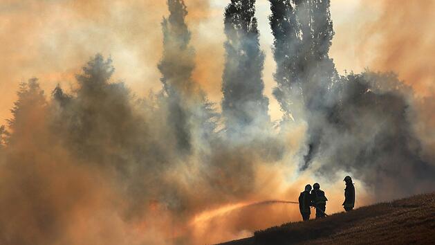 In Rostock löschen Feuerwehrleute ein Getreidefeld, das in Flammen steht. Verursacher des Brandes war ein zu Boden gefallener brennender Vogel. Foto: Danny Gohlke/dpa