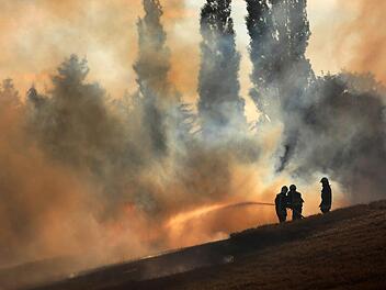 In Rostock löschen Feuerwehrleute ein Getreidefeld, das in Flammen steht. Verursacher des Brandes war ein zu Boden gefallener brennender Vogel. Foto: Danny Gohlke/dpa