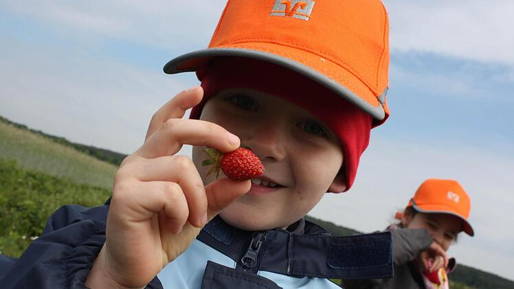 Ludwig und Larissa sind mit der Kita aus Hemhofen zum Erlebnistag auf den Erdbeerhof Schuster gekommen.  Fotos: Christian Bauriedel