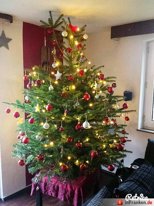 Weihnachten in Franken: Die Christbäume unserer Leser